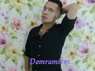Domramires