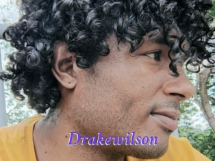 drakewilson Bdsm gratuit