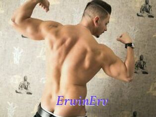 ErwinErv