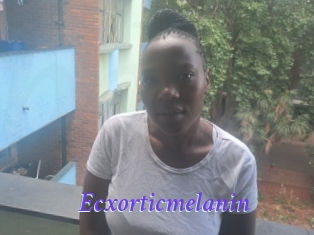 Ecxorticmelanin