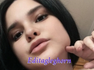 Editagleghorn