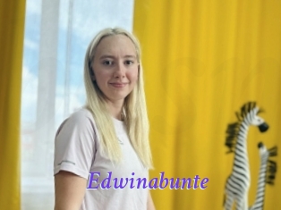 Edwinabunte