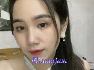 Elisanajam