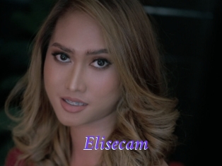 Elisecam