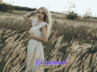 Elizamool