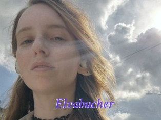 Elvabucher