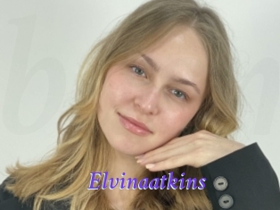 Elvinaatkins