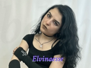 Elvinaesse
