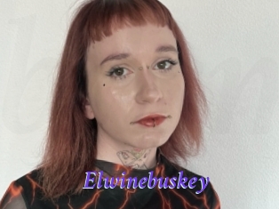 Elwinebuskey