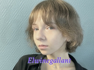 Elwinegallant