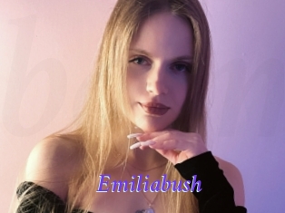Emiliabush