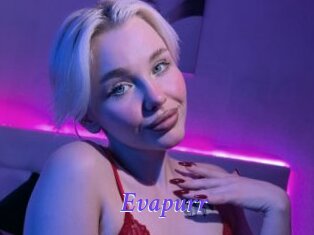 Evapurr