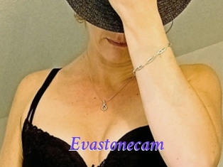 Evastonecam