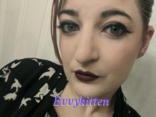 Evvykitten