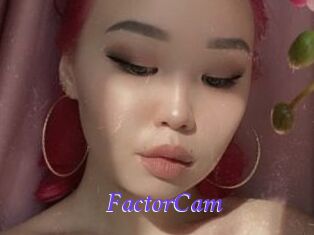 FactorCam