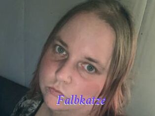 Falbkatze