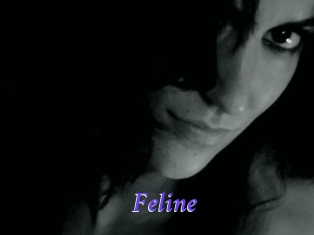 Feline Bdsm gratuit