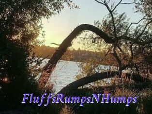 FluffsRumpsNHumps