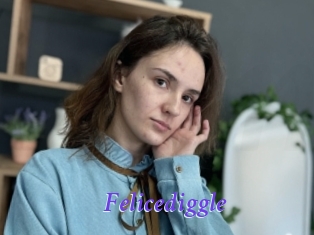 Felicediggle