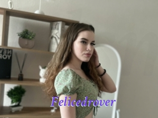 Felicedrover