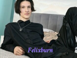 Felixburn