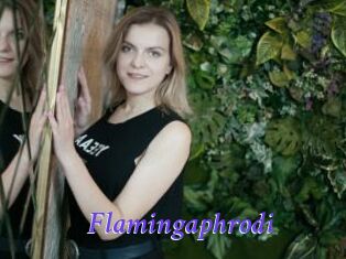 Flamingaphrodi