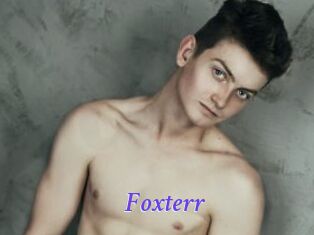 Foxterr
