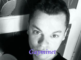 Gayminet