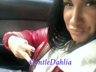 GentleDahlia