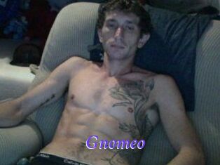 Gnomeo
