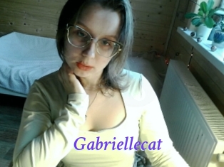 Gabriellecat