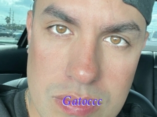 Gatoccc