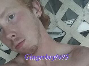 Gingerboy9695