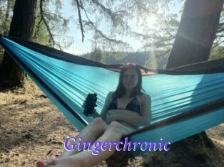 Gingerchronic