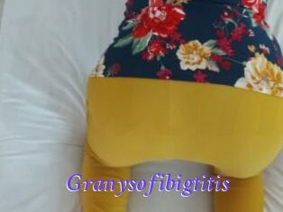 Granysofibigtitis