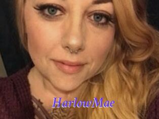 Harlow_Mae