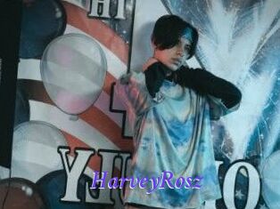 HarveyRosz