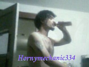 Hornymechanic334