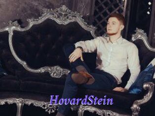 HovardStein Bdsm gratuit