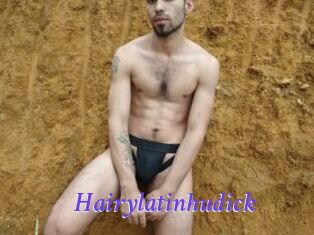 Hairylatinhudick