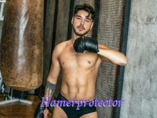 Hamerprotector