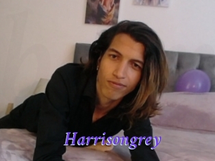 Harrisongrey