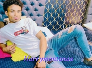 Harrymontanaa