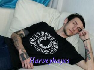 Harveyhayes