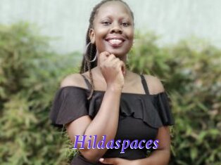 Hildaspaces