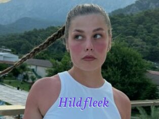 Hildfleek