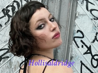 Hollisaldridge
