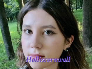 Holliscornwall