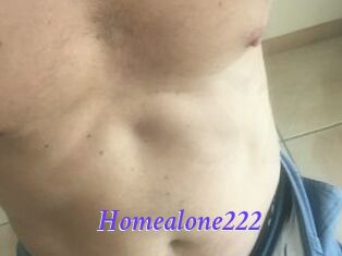 Homealone222