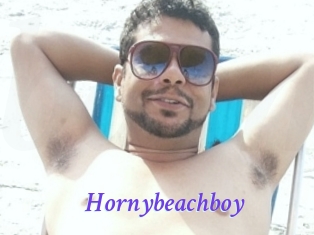 Hornybeachboy